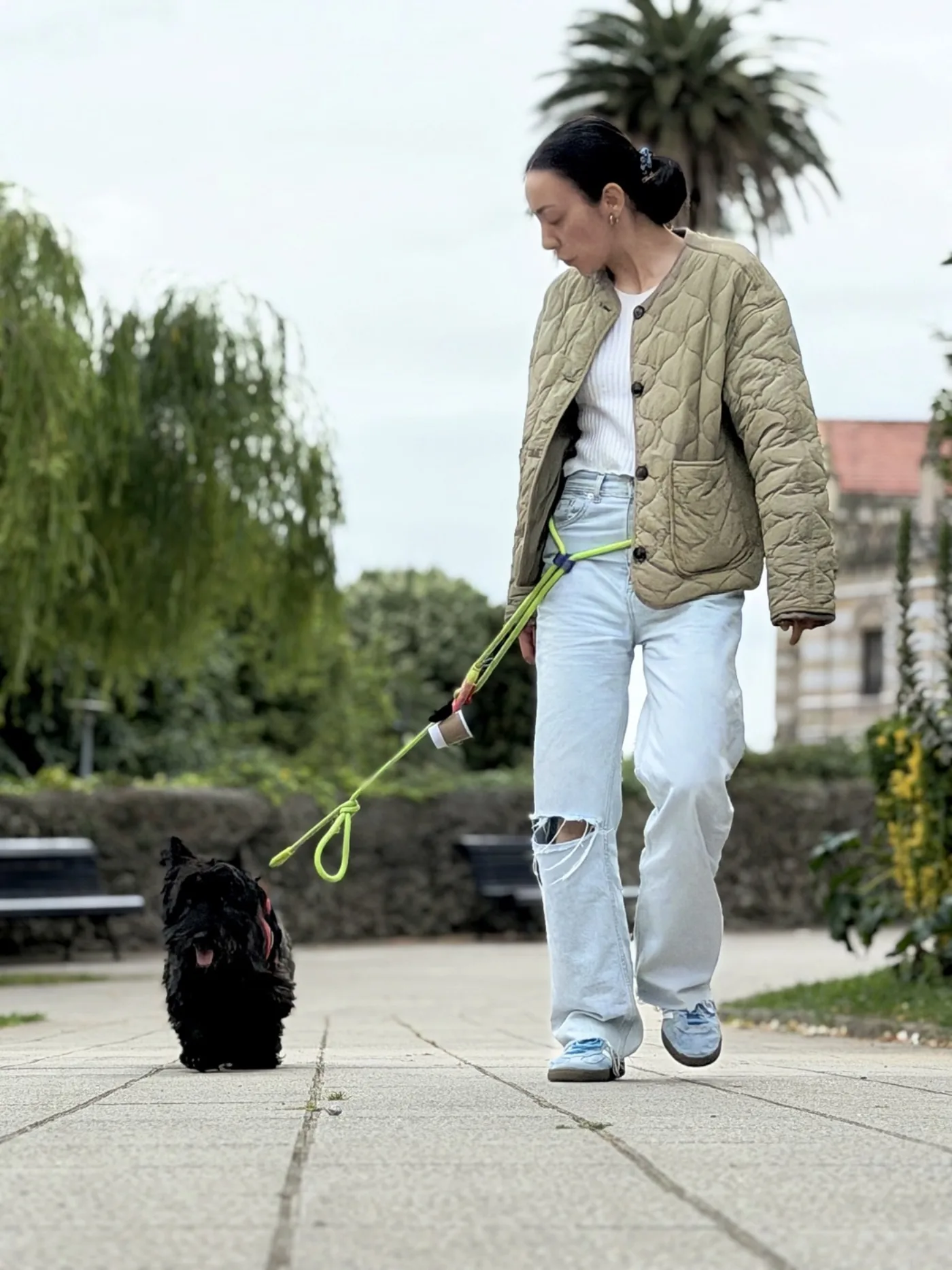Kenya durante un paseo con correa